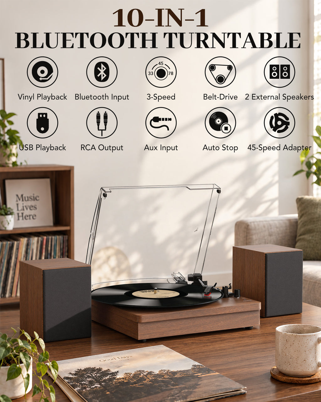 Vinyl Record Player with 2 External Speakers